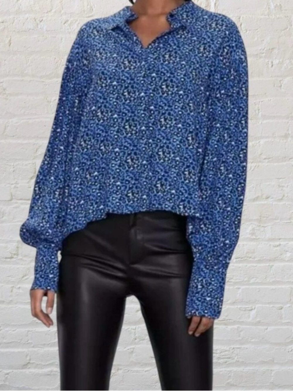 Zara Blue and Black Leopard Print Button-Down Blouse